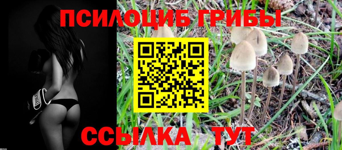 Псилоцибиновые грибы Magic Shrooms Бердск